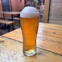 Vegan brewery   at Bellfield Brewery in Edinburgh