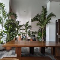 Outdoors  #Veganuary at New Earth Cafe in Dubai