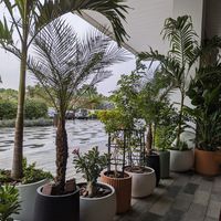 Outdoors  #Veganuary at New Earth Cafe in Dubai