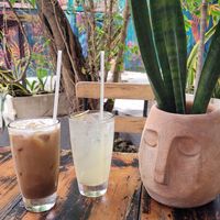 Coconut Coffee & Limonada at Selva Coffee Garden in Merida