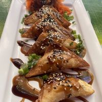 Wonton close-up (teriyaki and peanut sauce with pickled carrots) at Kaya Island Eats in Key West