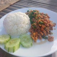 Kai Kapao vegan at Friends in Koh Phayam