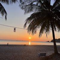   at Friends in Koh Phayam