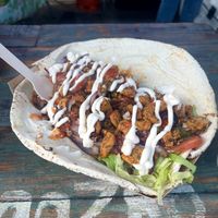   at Vegazmo in Tynemouth