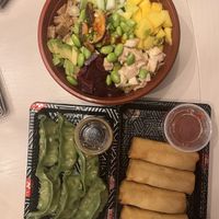 Planet power poke bowl, gyoza, spring rolls  at Midori Sushi in Philadelphia