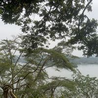   at Black Lantern in Jinja