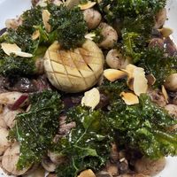 Mushroom gnocchi   at The Serpent Bar and Restaurant in Cairns