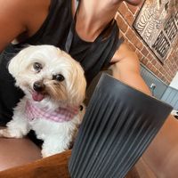 Dog friendly inside too😄 at Coffiology in Caerleon