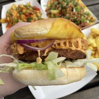 Supper spot seitan burger   at The Dark Horse in Birmingham