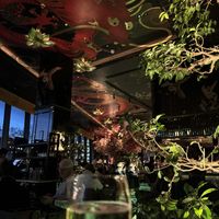   at The Ivy Asia in East London