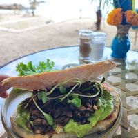 Mushroom Panini at Ocean Vibes in Koh Phangan