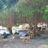 Ambiente at Ocean Vibes in Koh Phangan