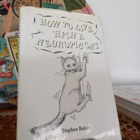  at Bonita Cafe and Social Club in Bangkok