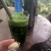 Chaya juice (and icaco nut from a tree on their patio)  at Centro PUMA in Altagracia