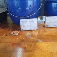 Sauces and toppings 2 at Go Healthy in Koh Phangan