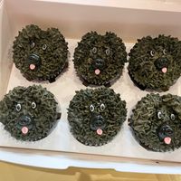  at Dance Like a Cupcake  in Bartlett