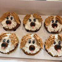  at Dance Like a Cupcake  in Bartlett