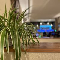 Full bar  at plan B in Nierstein