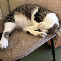   at KEEK Bakery in Utrecht