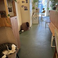   at KEEK Bakery in Utrecht