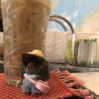   at Arista Barista Cafe in Merida