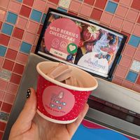 Vegan wild berry cheesecake froyo at Myfroyoland in Camberley