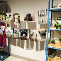 🤩  at Casa Hoja in Pereira