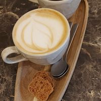 Vegan coffees at O'YO - Sint Baafs in Ghent