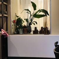   at O'YO - Sint Baafs in Ghent