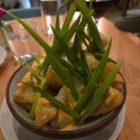 Yuca con queso at La Semilla in Atlanta