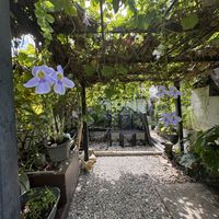   at The Craftist in Phuket