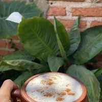 Chai Masala latte 🤎🤍  at Semilla de Mar in Bucerias