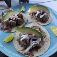 Tacos de non-shrimp at Vegan Barrio in Cozumel