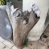   at Vegan Barrio in Cozumel