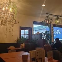 Interior of the cafe #Veganuary at Cafe Aoioto in Tsukuba