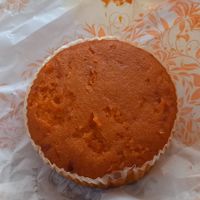 Tortino ACE at Caffè Carlotta Padova in Padua