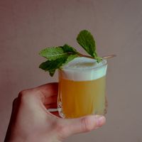 Cocktail sour  at Manto in Malmo