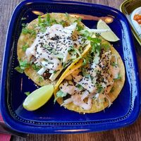 Tacos with mushrooms+++ at Manto in Malmo