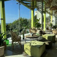 Vibe  at Plantissa in Playa Del Carmen