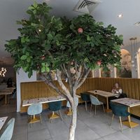  at Bunchi in Wolverhampton