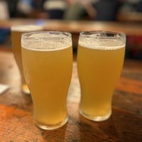 Beers   at Roam Brewing Company in Plymouth