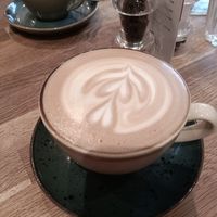 Large oat latte at Moksha in Brighton