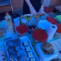 Artists at Work  at Verdi Vegan in Sao Paulo