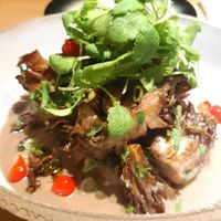 maitake mushroom, polenta, gravy, wasabi sprouts at and/or  in Antwerpen