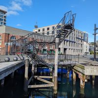 It's too cold to swim at Harbourside Market in Wellington