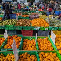 Fruit and veg at Harbourside Market in Wellington