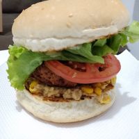 X Albatroz at Veguai in Florianopolis