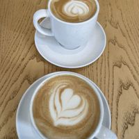 oat lattes, also decaf  at Numa Café - AMUN Cafe in Lisbon