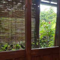   at Taketomi-jima Parlor Ganju-ya  竹富島ぱーらー願寿屋・島宿願寿屋 in Taketomi