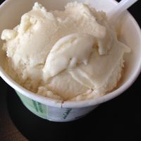 Vegan vanilla ice cream at Waffle Frolic in Ithaca